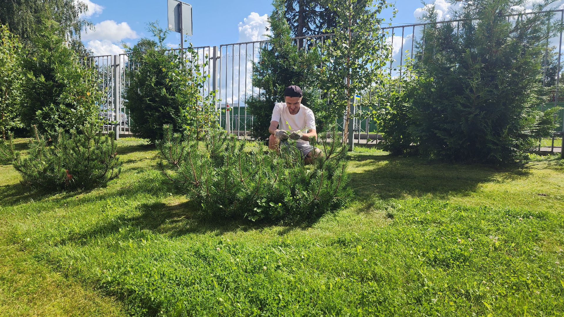 волоколамск, подготовка школы к учебному году, фигуры школьников,