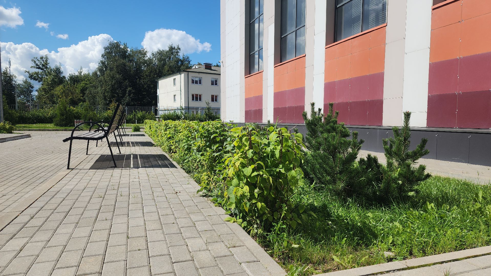 волоколамск, подготовка школы к учебному году, фигуры школьников,