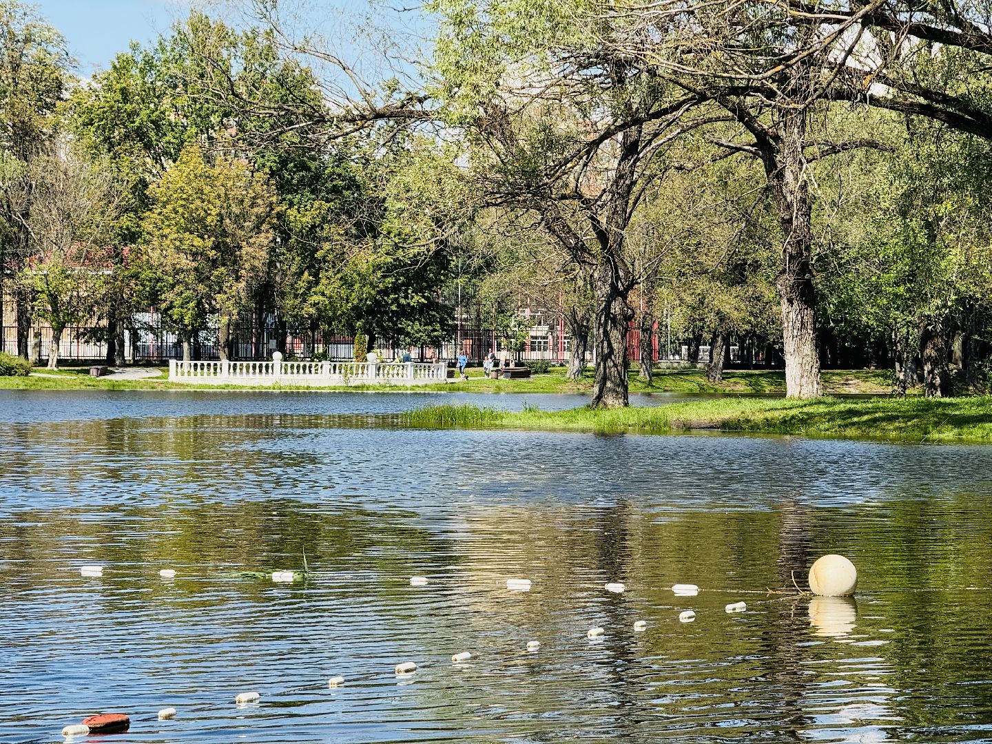 раменское, спасение утопающих, подвиги, озеро пионер,