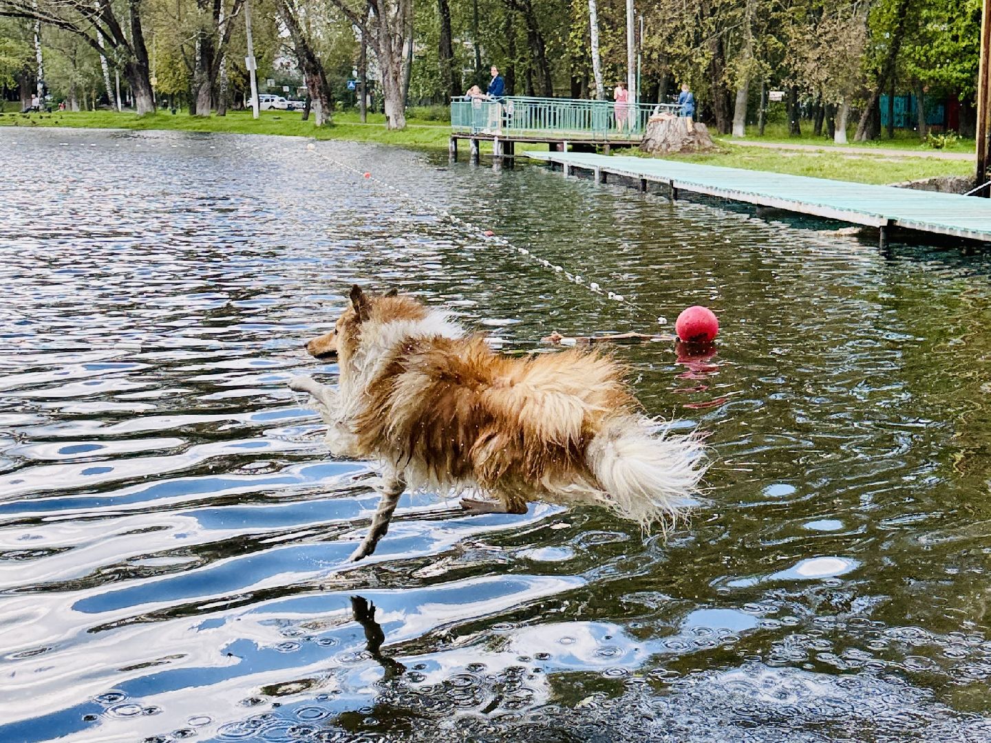 раменское, спасение утопающих, подвиги, озеро пионер,