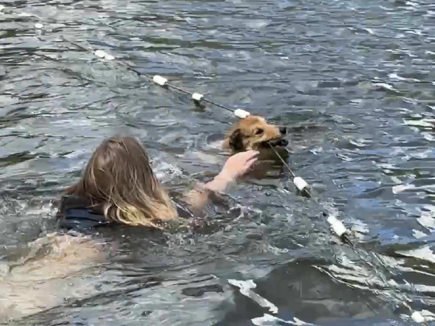 раменское, спасение утопающих, подвиги, озеро пионер,