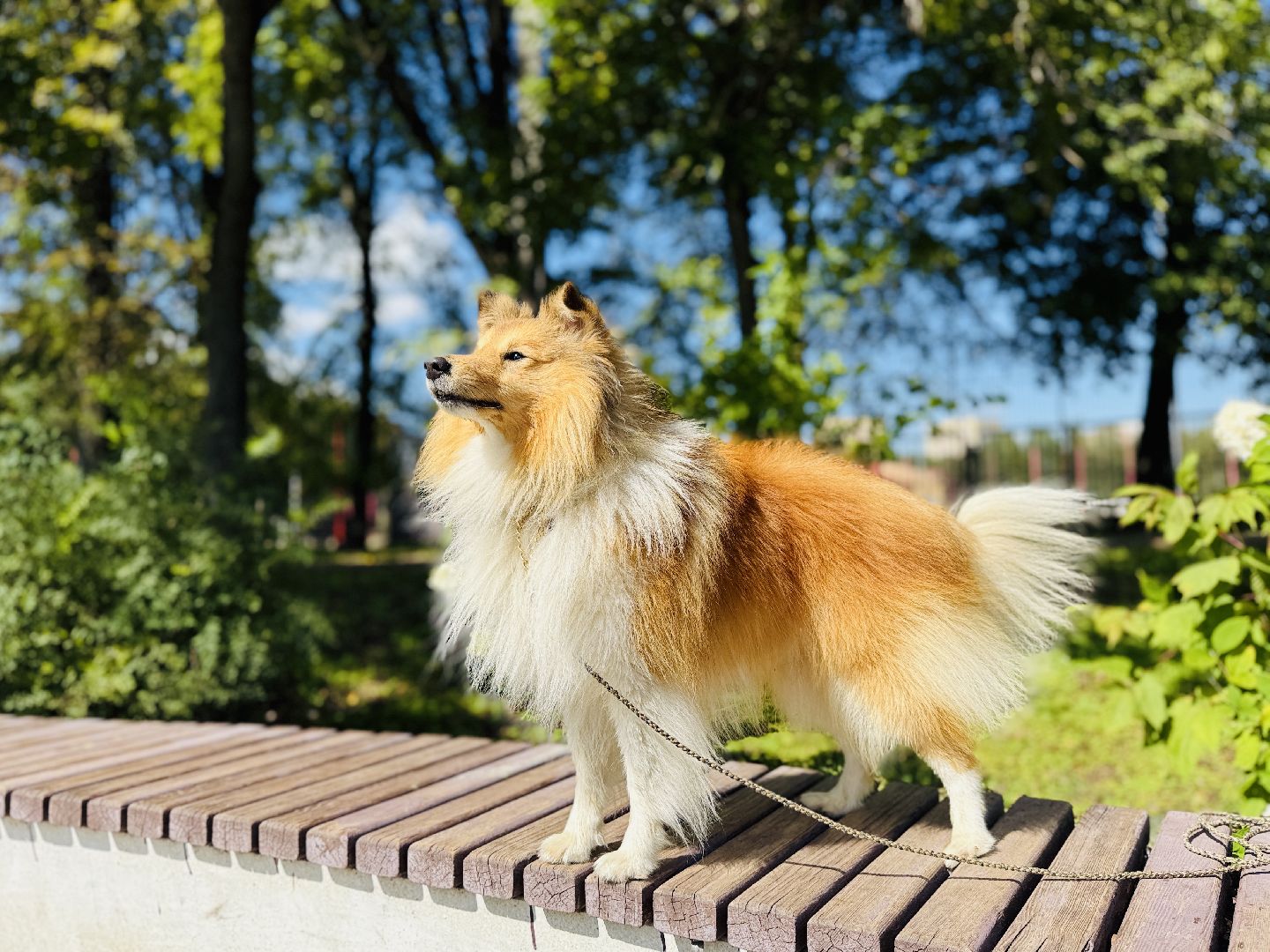раменское, спасение утопающих, подвиги, озеро пионер,