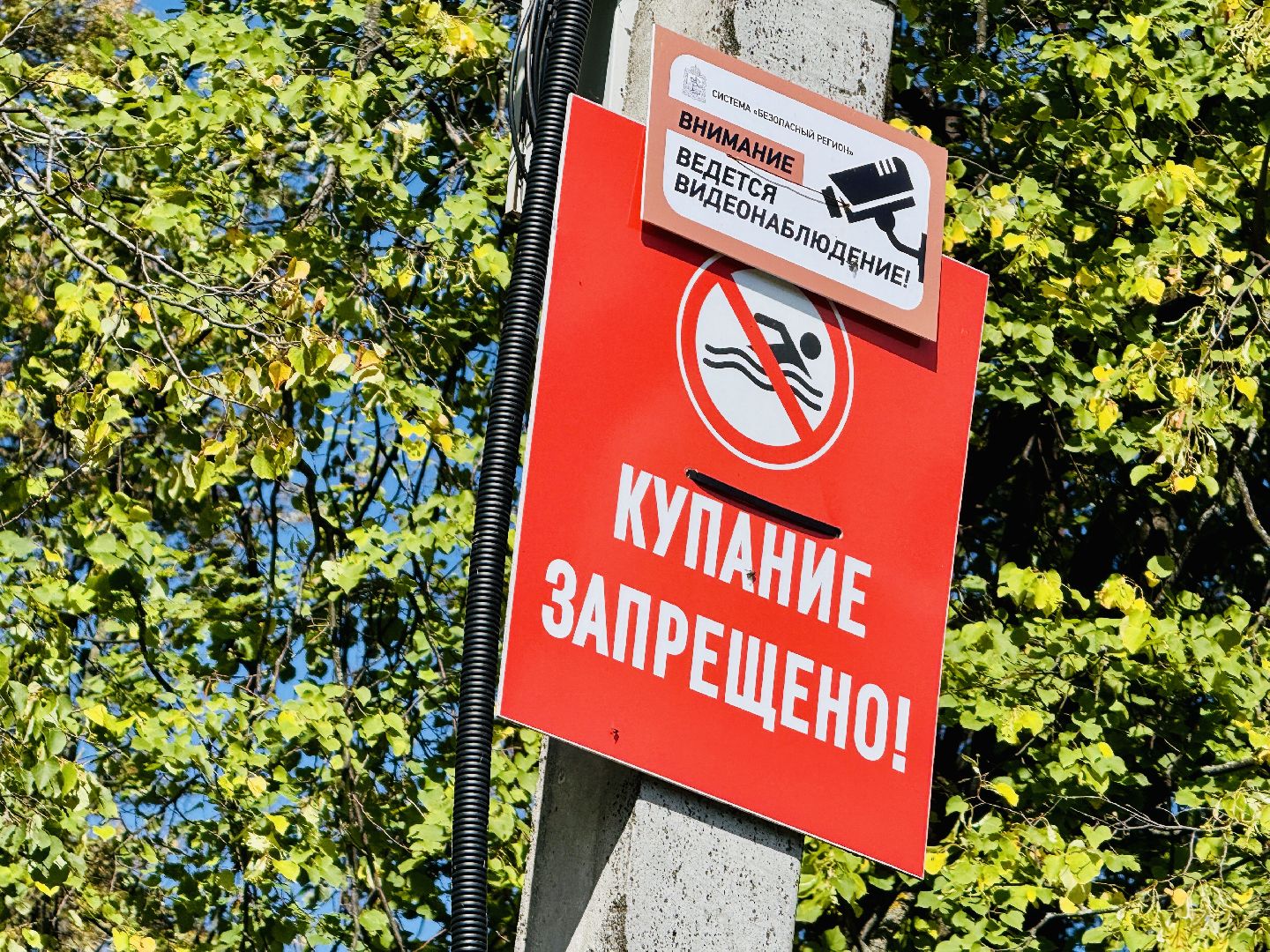 раменское, спасение утопающих, подвиги, озеро пионер,