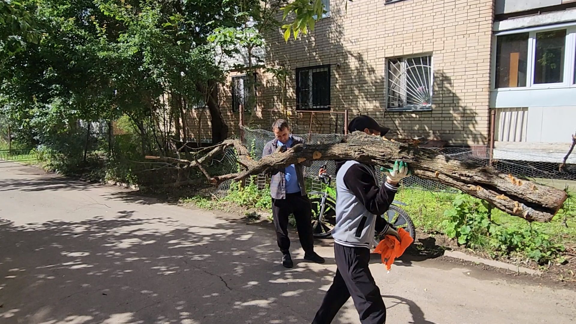 чехов, улица чехова, содержание двора, опиловка деревьев, измельчение веток, удаление аварийных деревьев, удаление сухостоя, уборка придомовой территории, заявки жителей, портал добродел, мбу чеховское благоустройство,