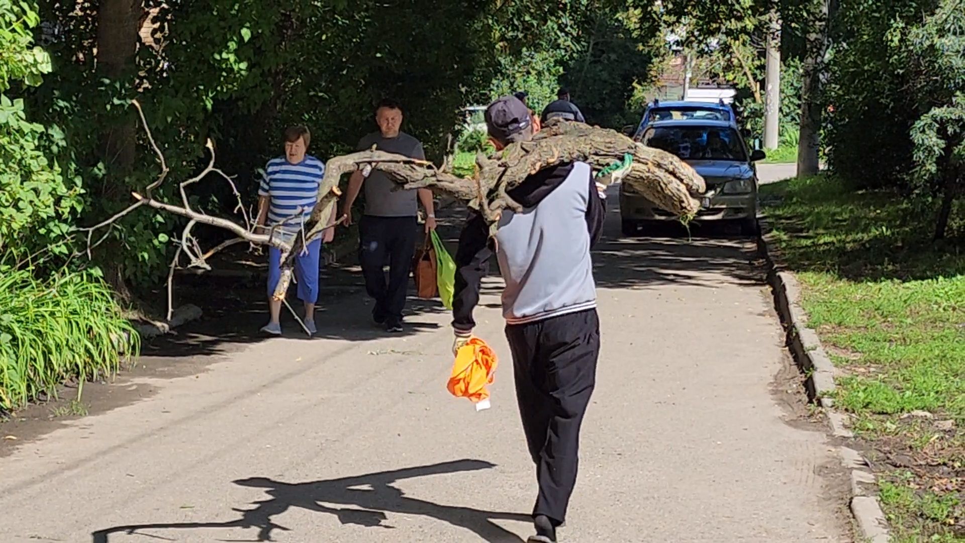 чехов, улица чехова, содержание двора, опиловка деревьев, измельчение веток, удаление аварийных деревьев, удаление сухостоя, уборка придомовой территории, заявки жителей, портал добродел, мбу чеховское благоустройство,