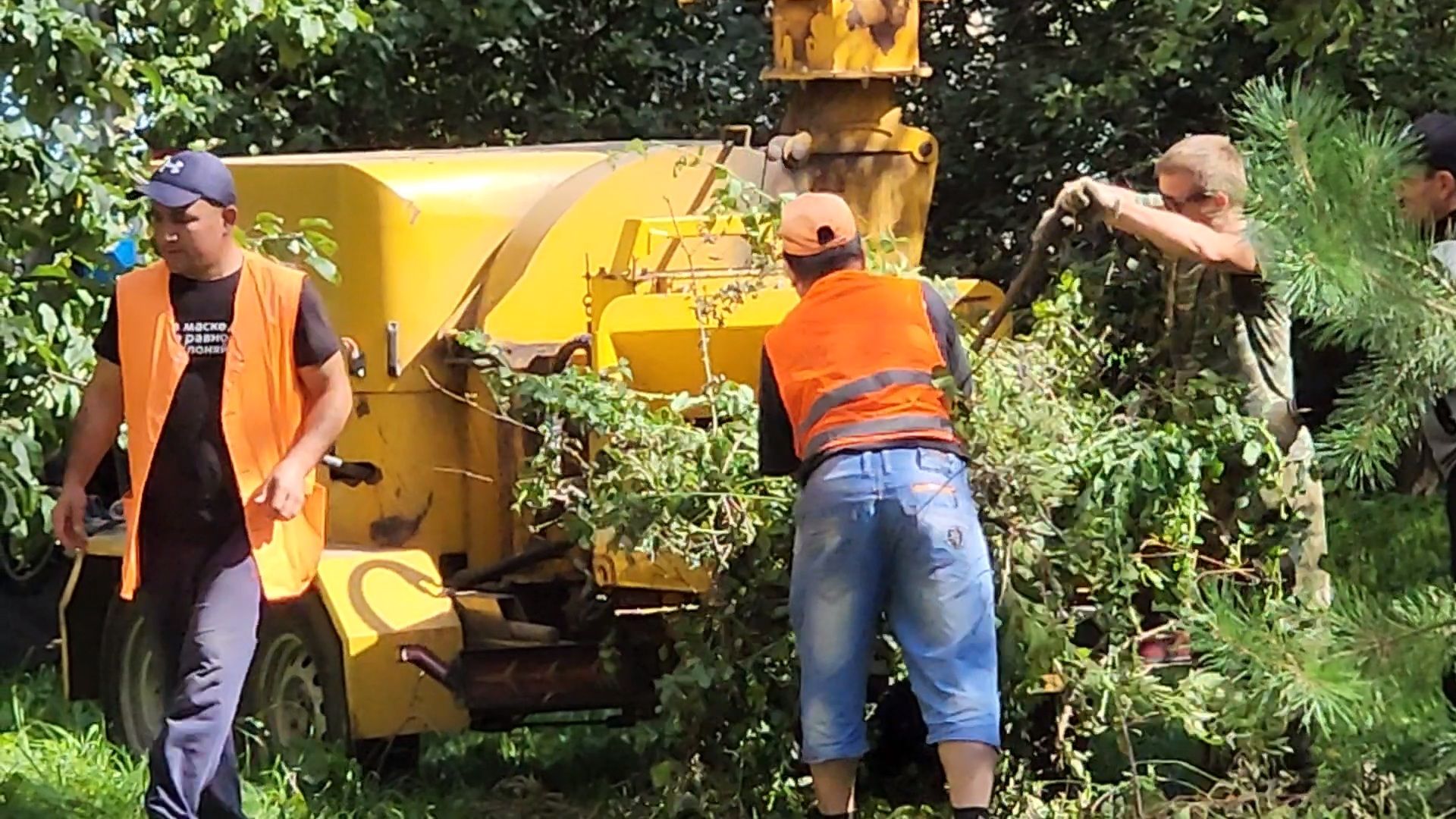 чехов, улица чехова, содержание двора, опиловка деревьев, измельчение веток, удаление аварийных деревьев, удаление сухостоя, уборка придомовой территории, заявки жителей, портал добродел, мбу чеховское благоустройство,