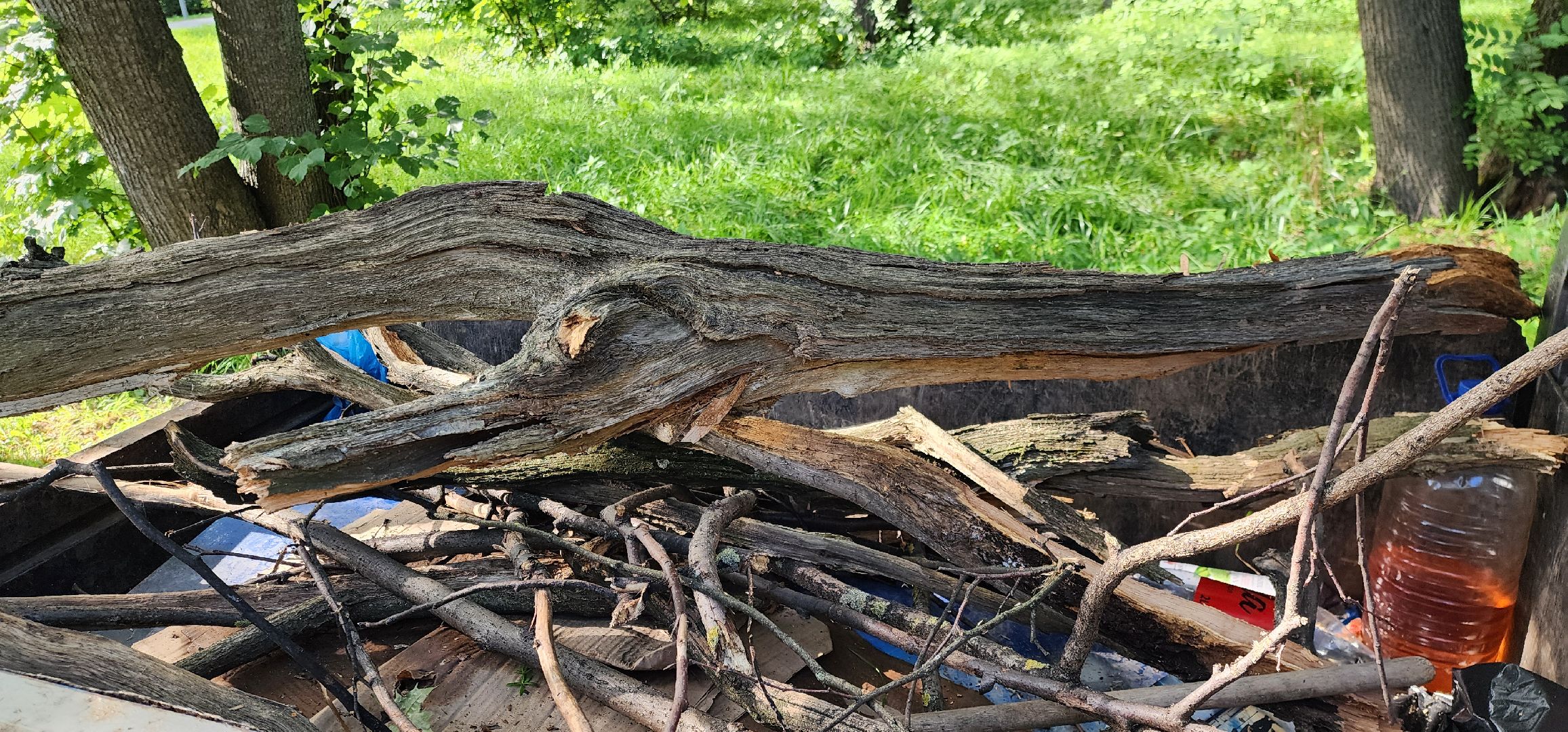 Химки, Благоустройство , Парки,