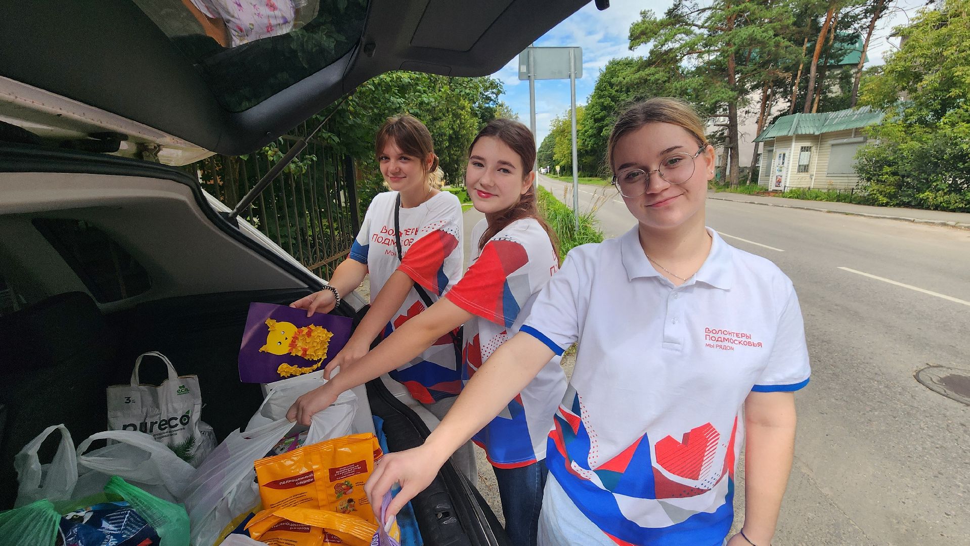 котобус, волонтеры, кошачий приют,