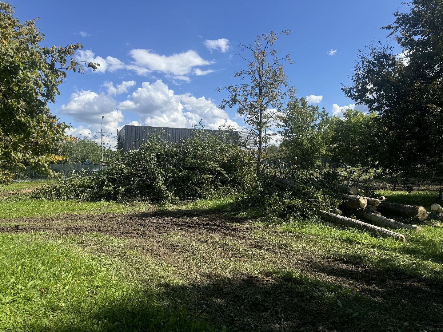 новый корпус перинатального центра, ленинский городской округ, видновский перинатальный центр, строительство,