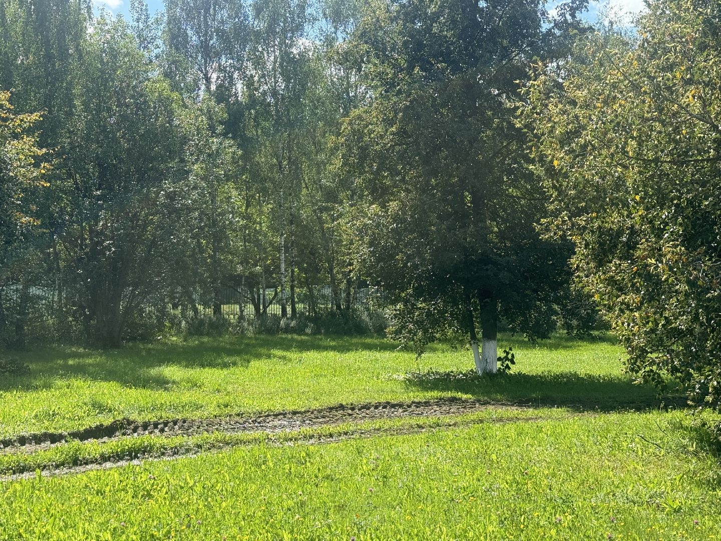 новый корпус перинатального центра, ленинский городской округ, видновский перинатальный центр, строительство,