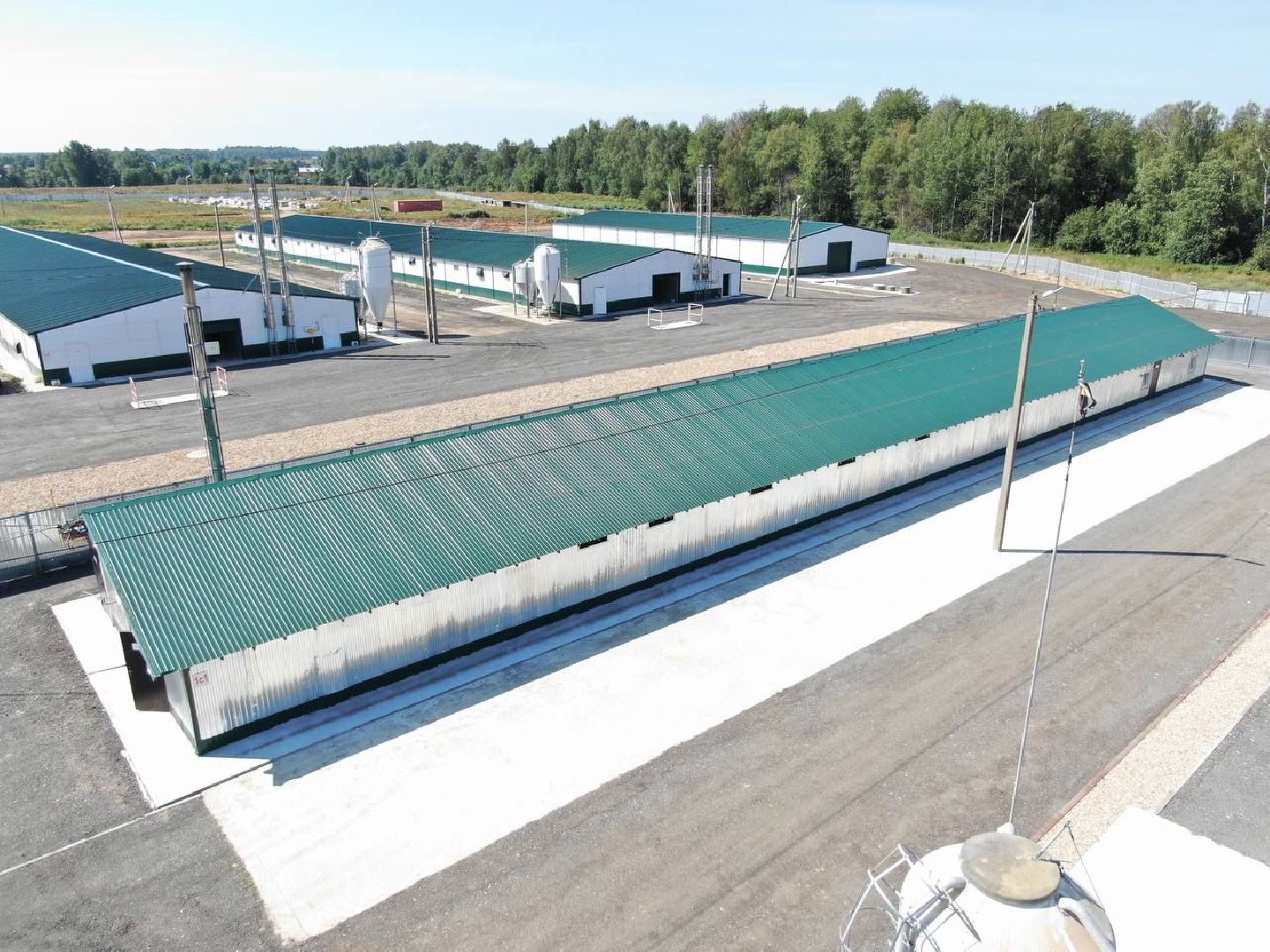 шаховская, репродуктор, птичники, куры, птицекомплекс,