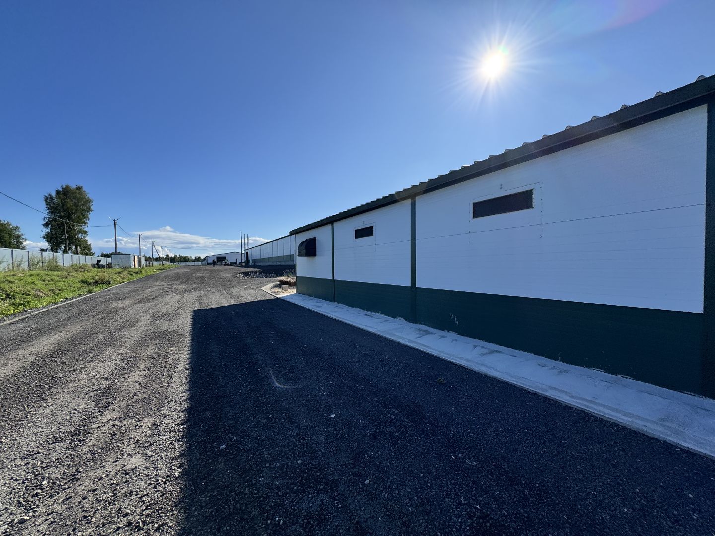 шаховская, репродуктор, птичники, куры, птицекомплекс,