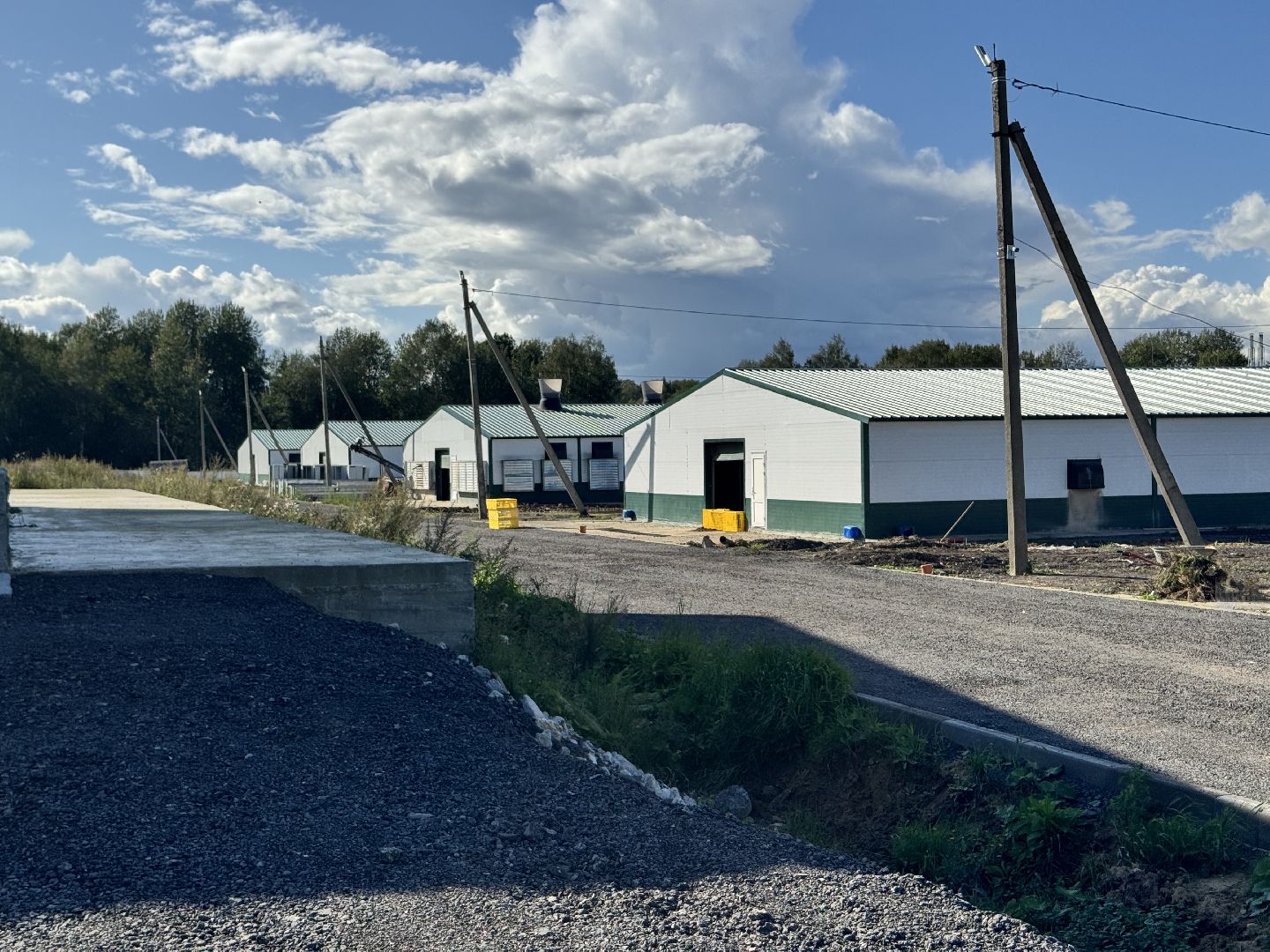 шаховская, репродуктор, птичники, куры, птицекомплекс,