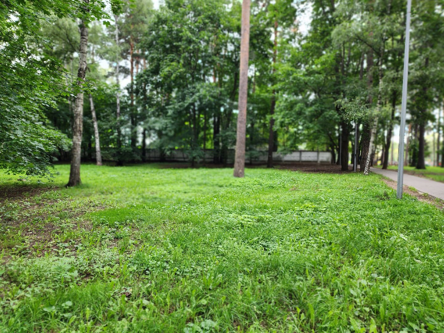 королёв, благоустройство , горзеленхозстрой,