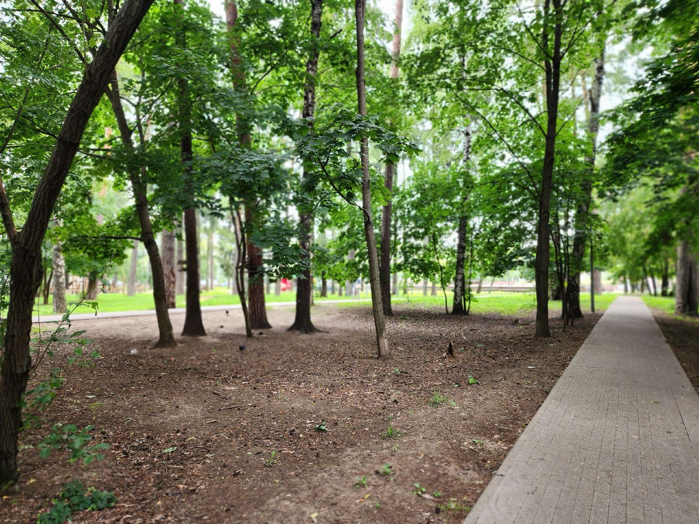 королёв, благоустройство , горзеленхозстрой,