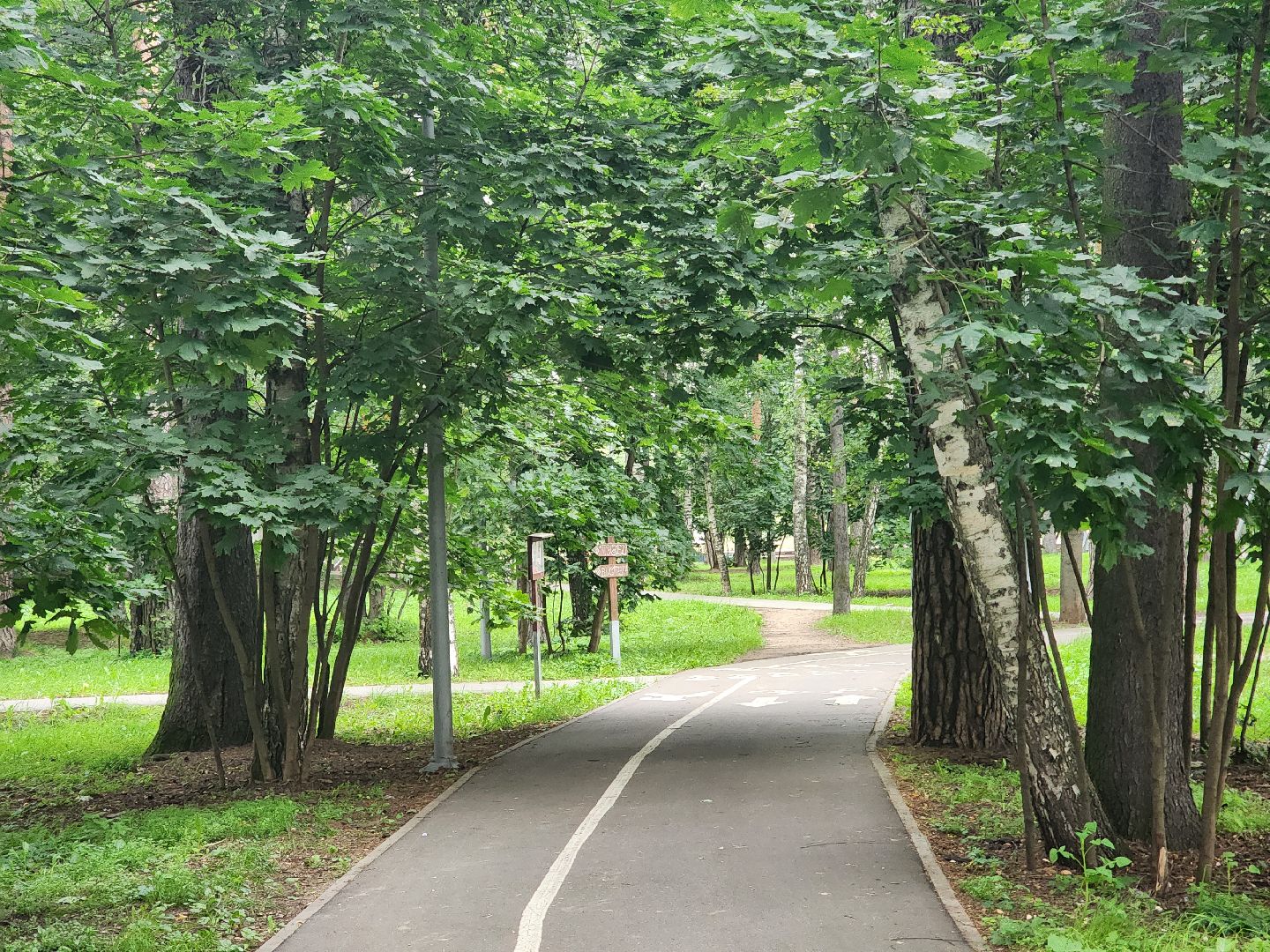 королёв, благоустройство , горзеленхозстрой,