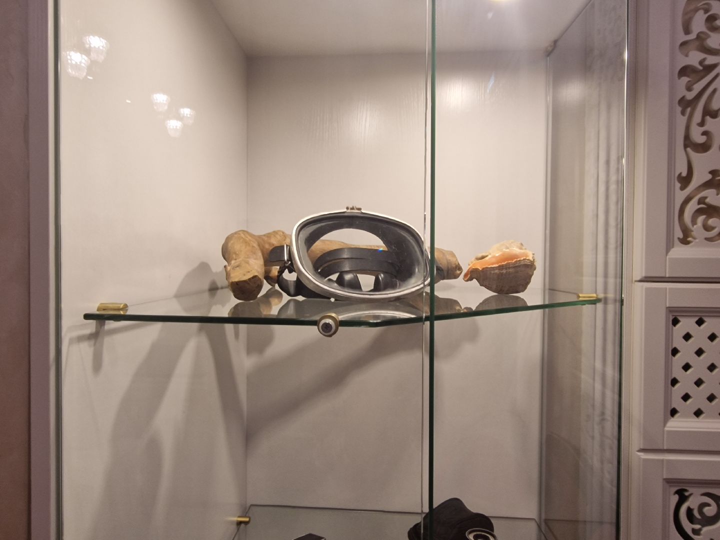 дубна, культура, выставки,