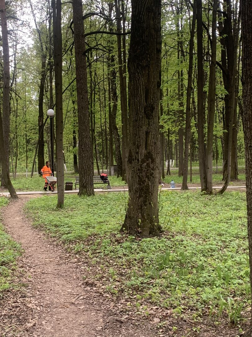 Благоустройство, парки, Подмосковье,Красногорск