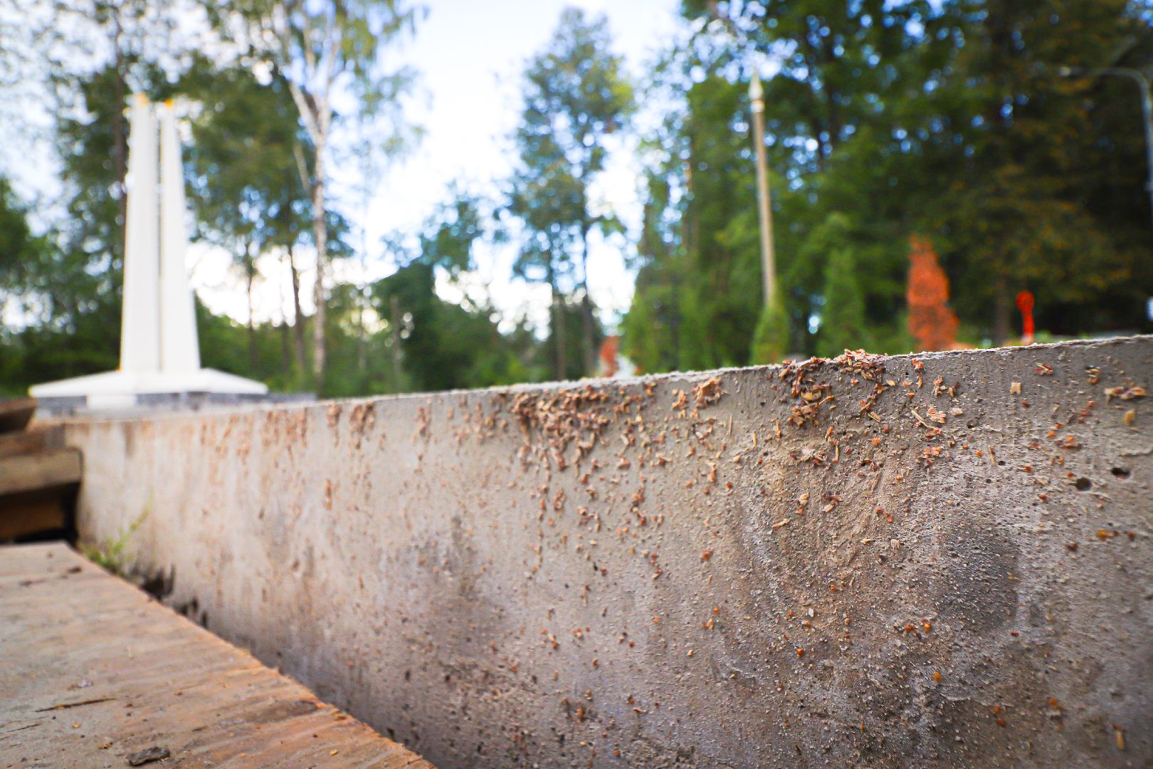 клин, общество, строительство, стела героям сво,