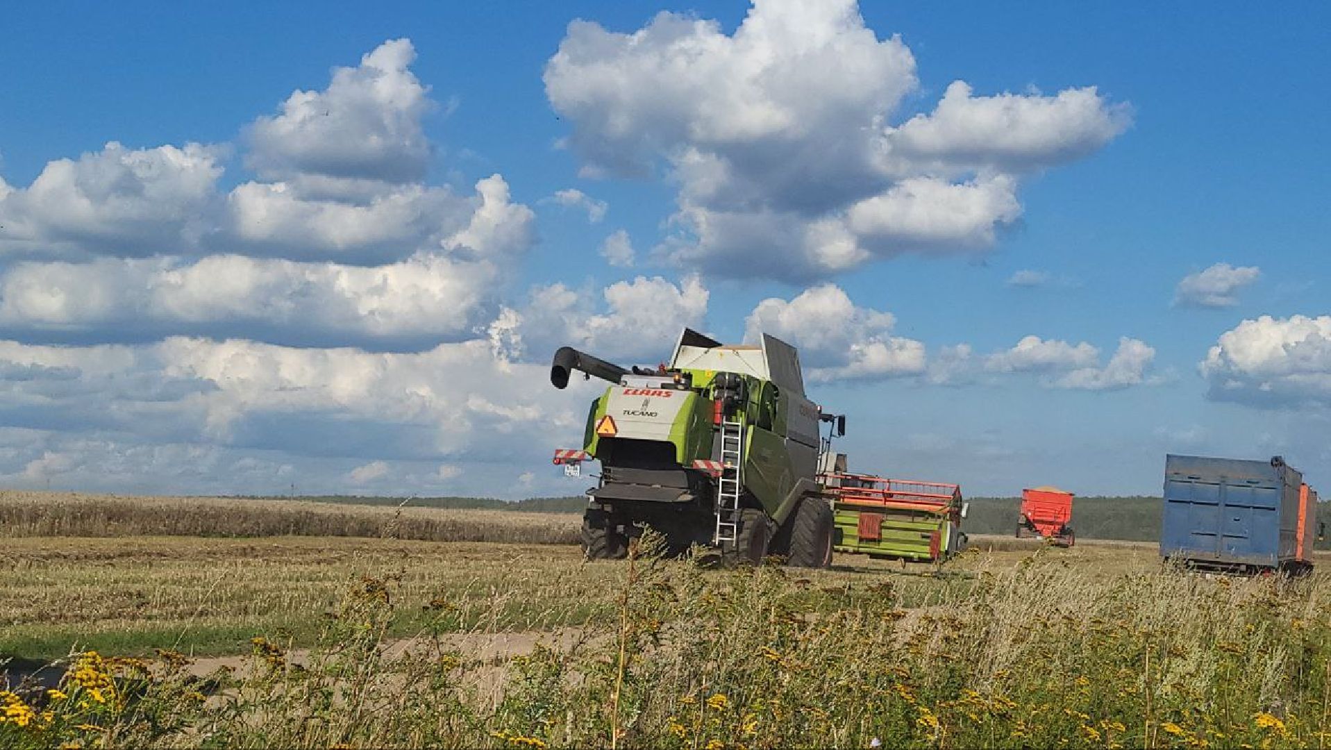 луховицы, сельское хозяйство,