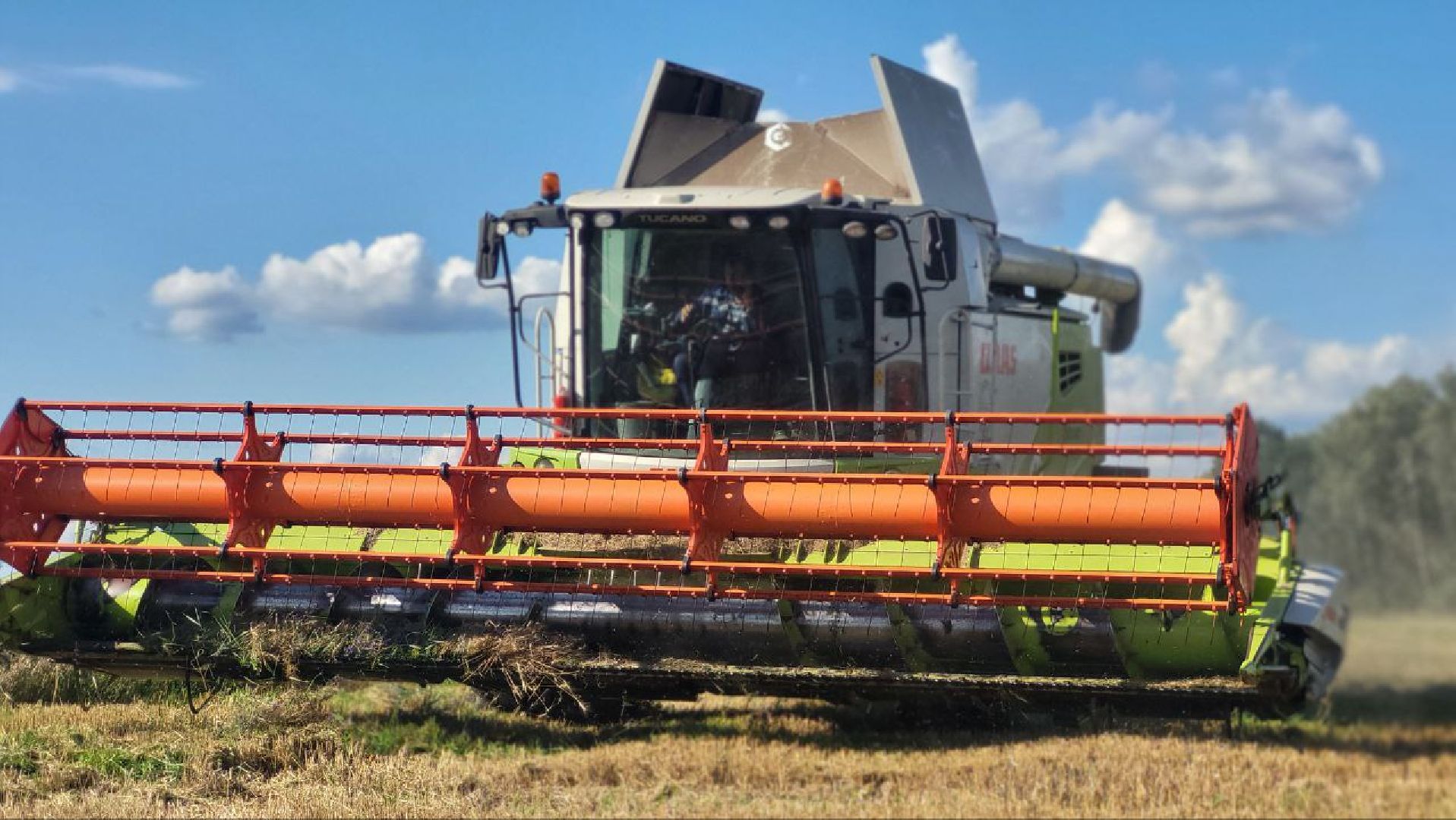 луховицы, сельское хозяйство,