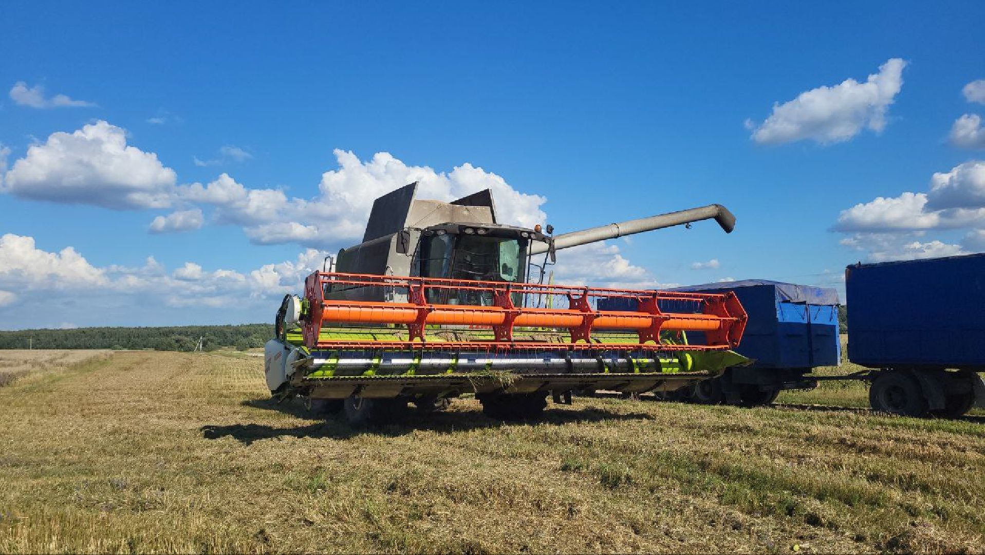 луховицы, сельское хозяйство,