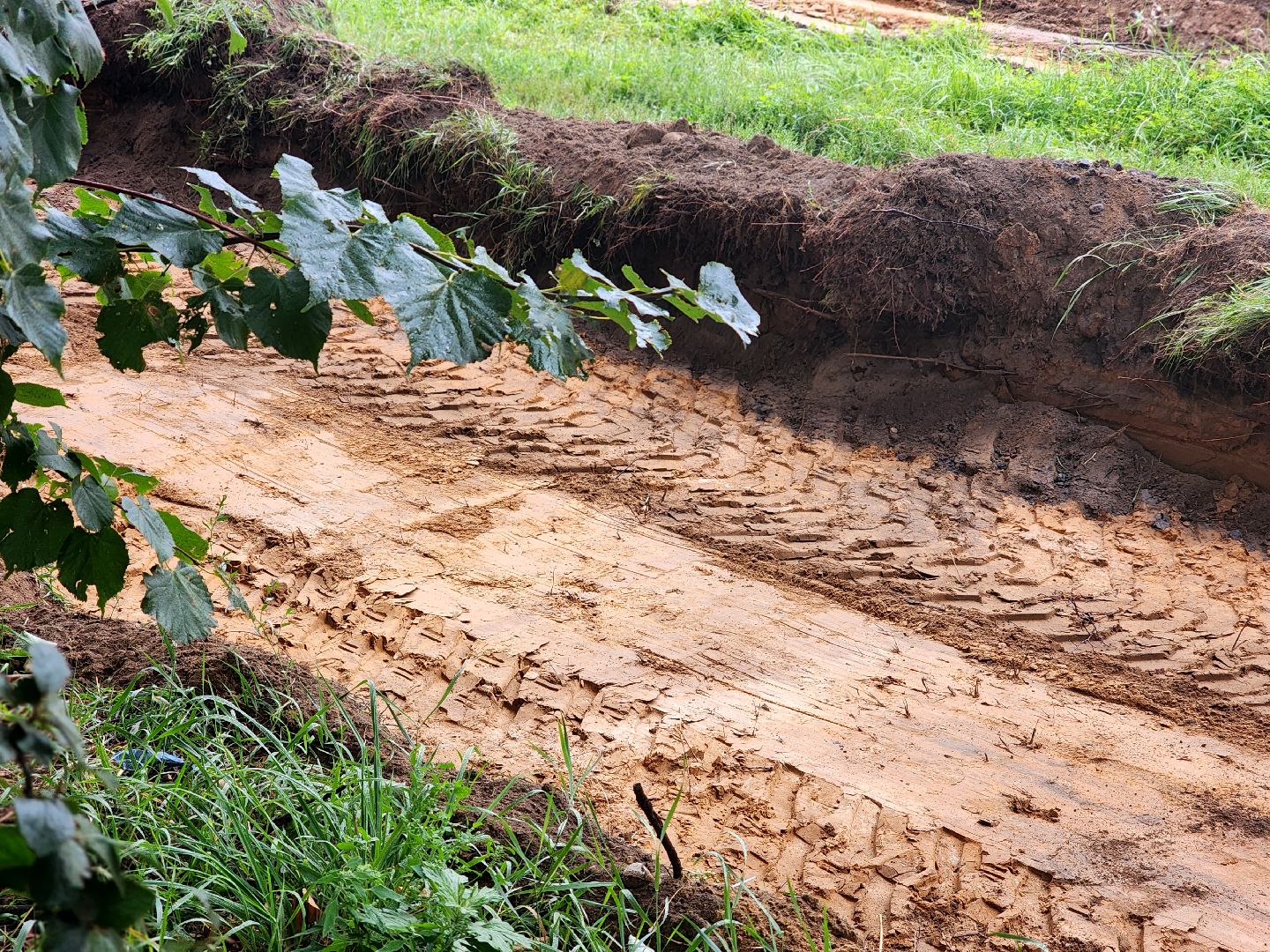 дубна, благоустройство, сквер,