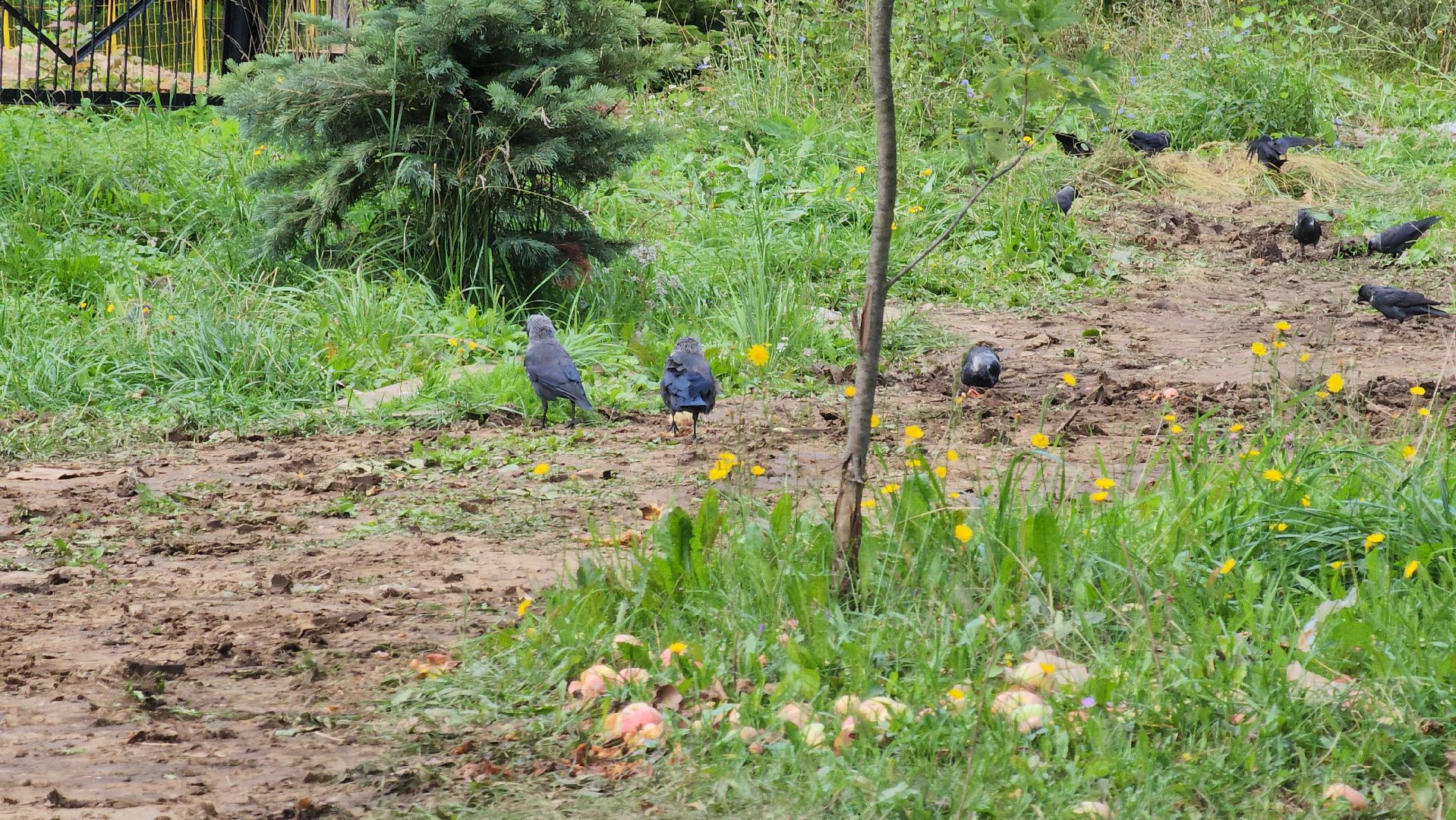 ступино, лицей 2, капитальный ремонт, образование, благоустройство, спортивное ядро, тротуары, безопасный регион,