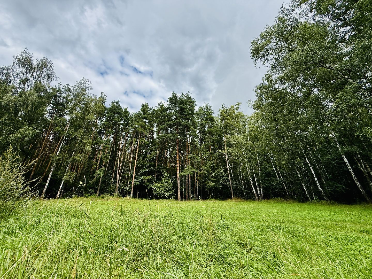 раменское, раменский парк, Усадьба Раменское, объект культурного наследия, Восьмидорожье, Зверинец,