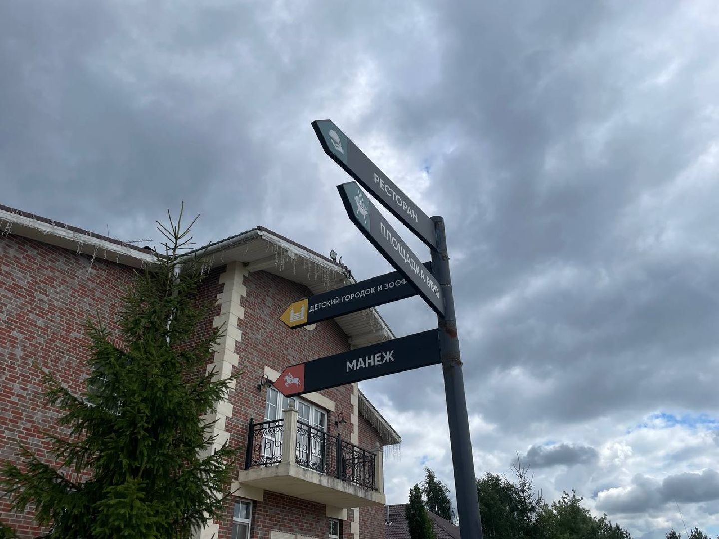 Черноголовка, Иваново поле, Конный фестиваль,