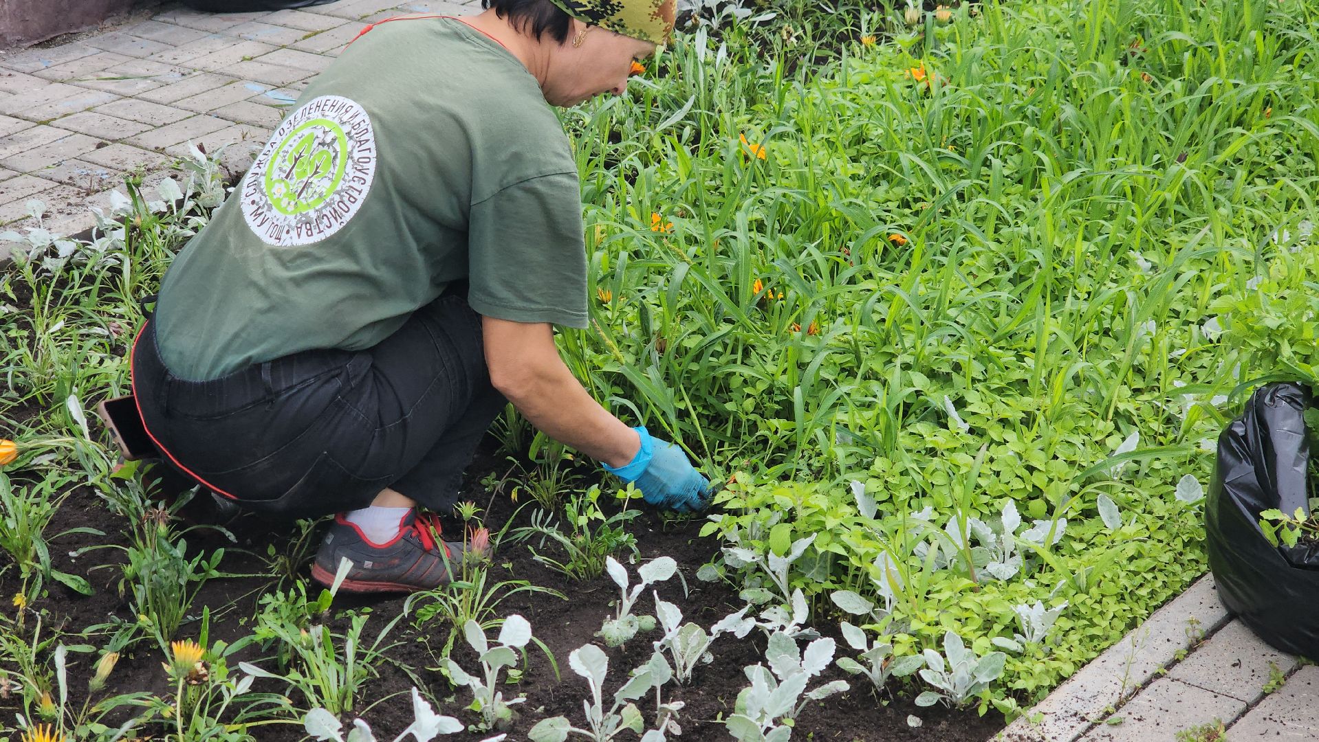 щёлково, чкаловский, Прополка клумбы, Уход за цветами,