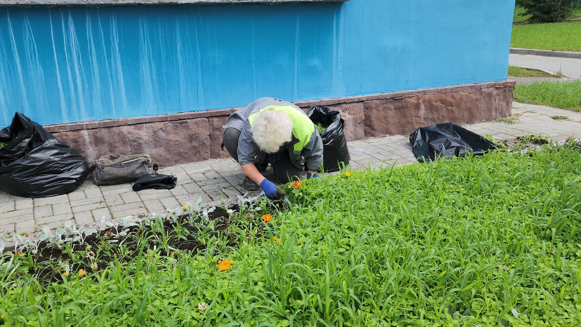 щёлково, чкаловский, Прополка клумбы, Уход за цветами,