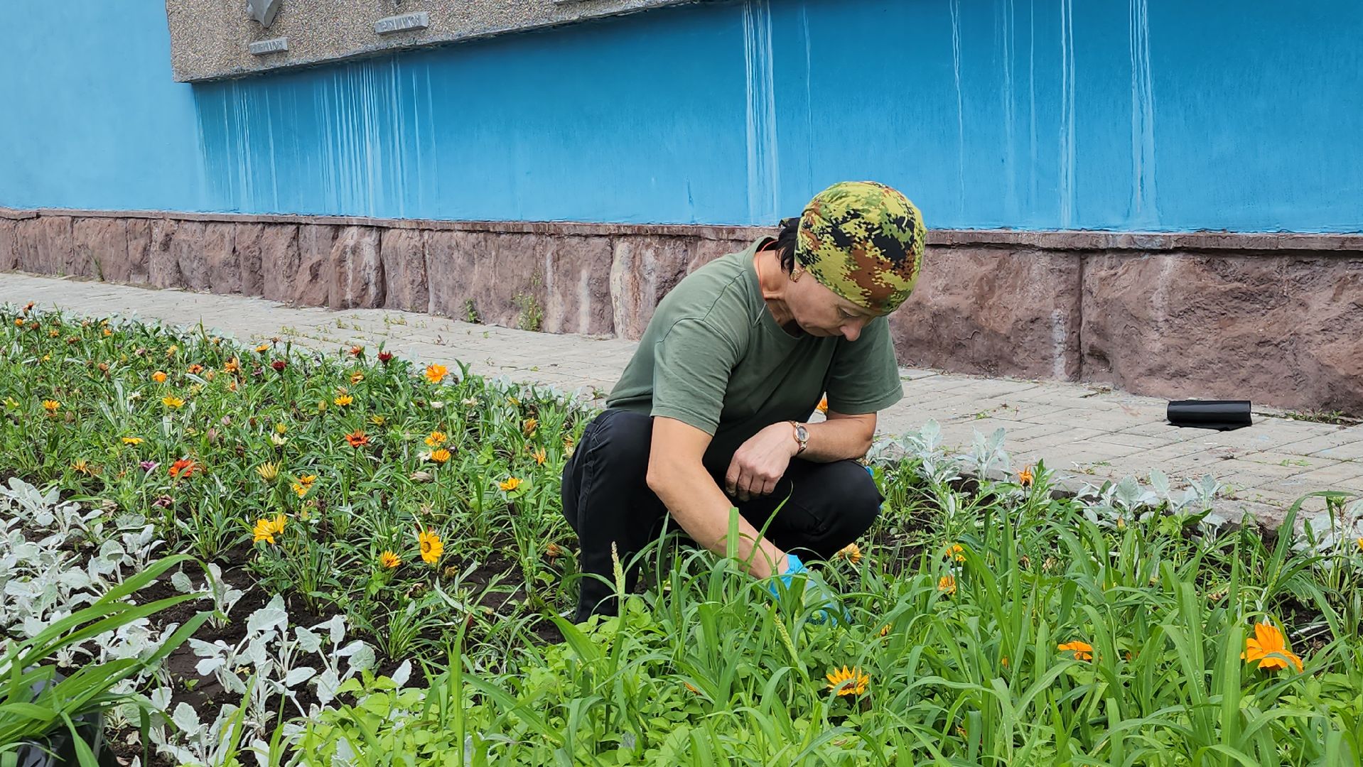 щёлково, чкаловский, Прополка клумбы, Уход за цветами,
