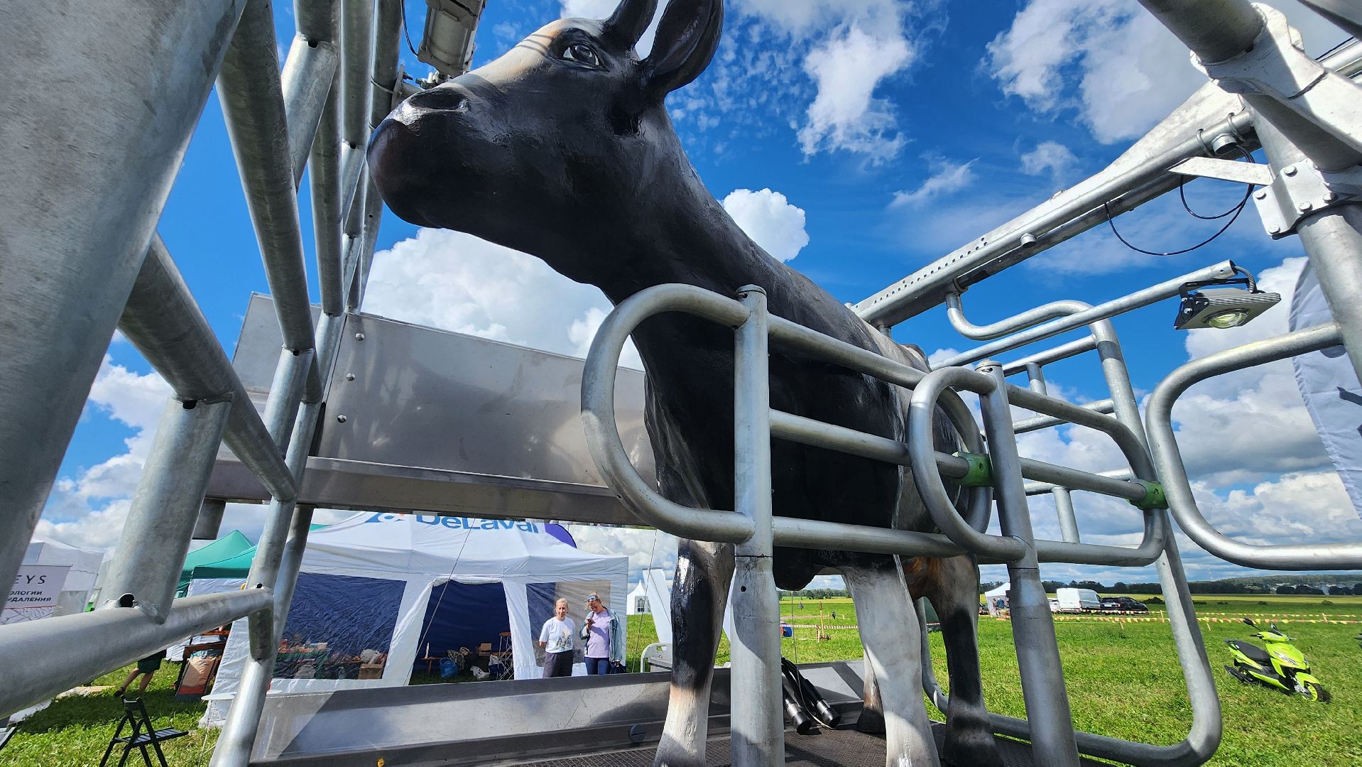 Зарайск, Сельское хозяйство, День поля в Зарайске, Праздник сельского хозяйства,