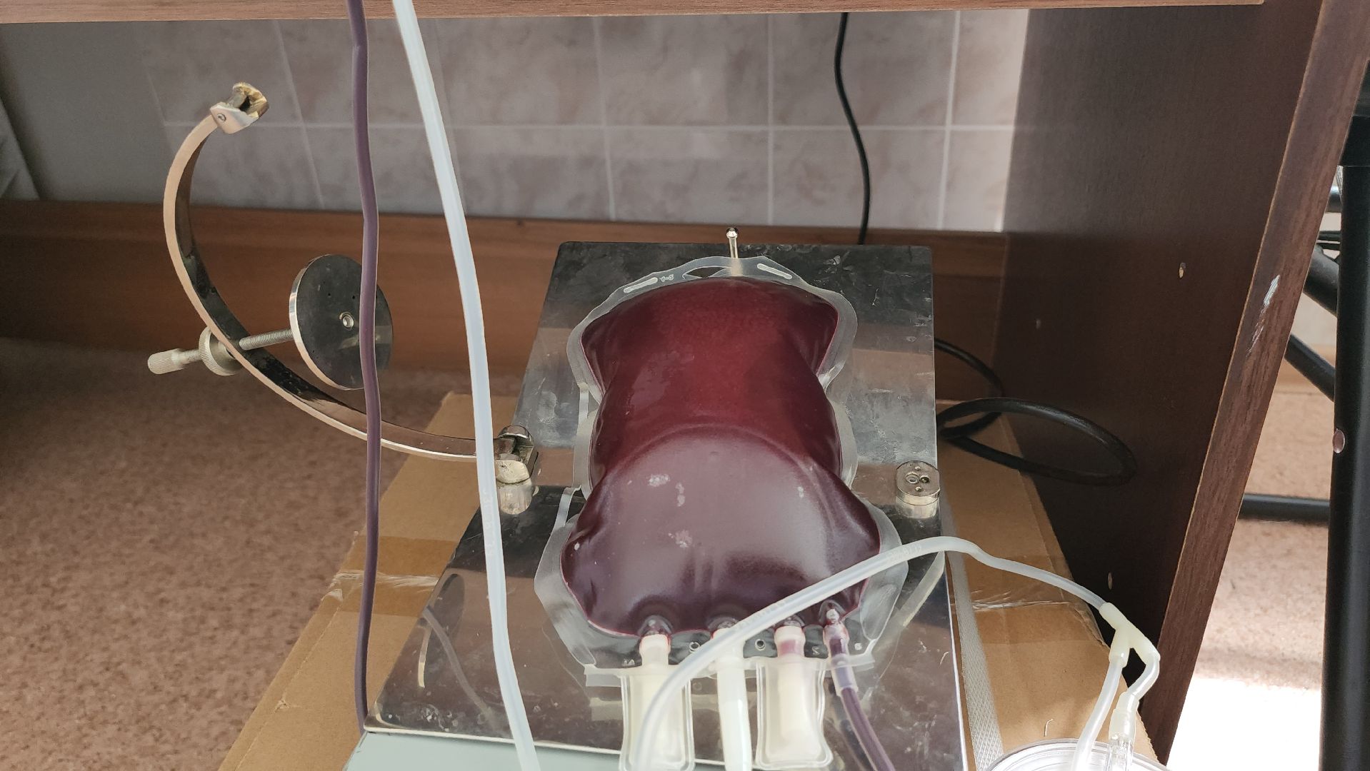 завод Звезда в Люберцах, люберцы, донорская акция, люберецкая областная больница, отделение переливания крови,