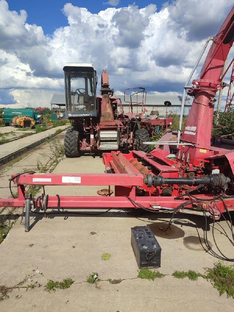 ивантеевка, ферма цветковых, экскурсия, дети с особенностями развития, центр социального обслуживания, животные на ферме,социализация детей,коровы,