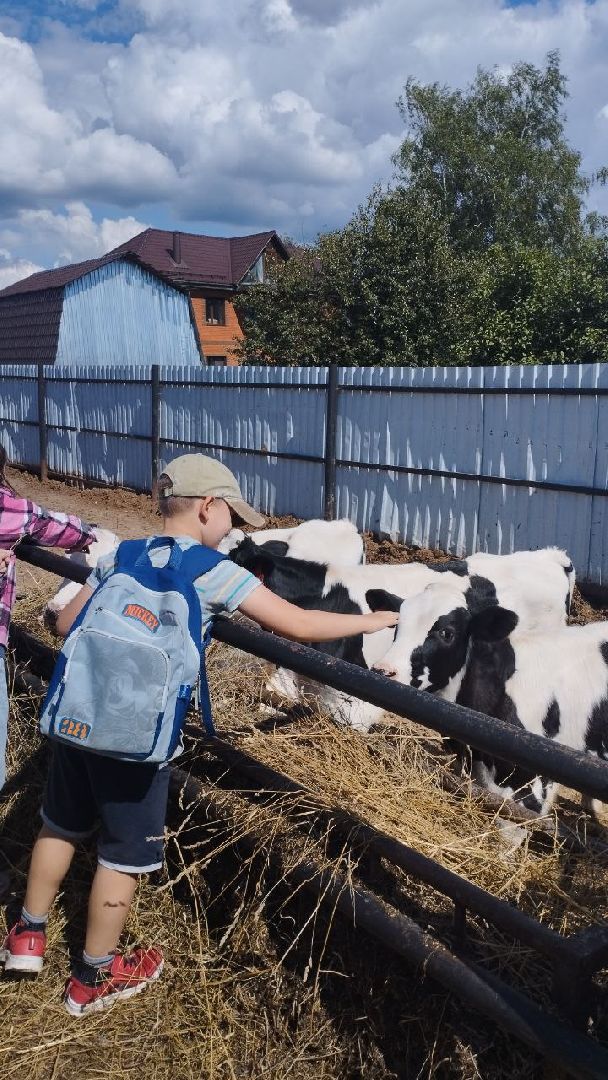 ивантеевка, ферма цветковых, экскурсия, дети с особенностями развития, центр социального обслуживания, животные на ферме,социализация детей,коровы,
