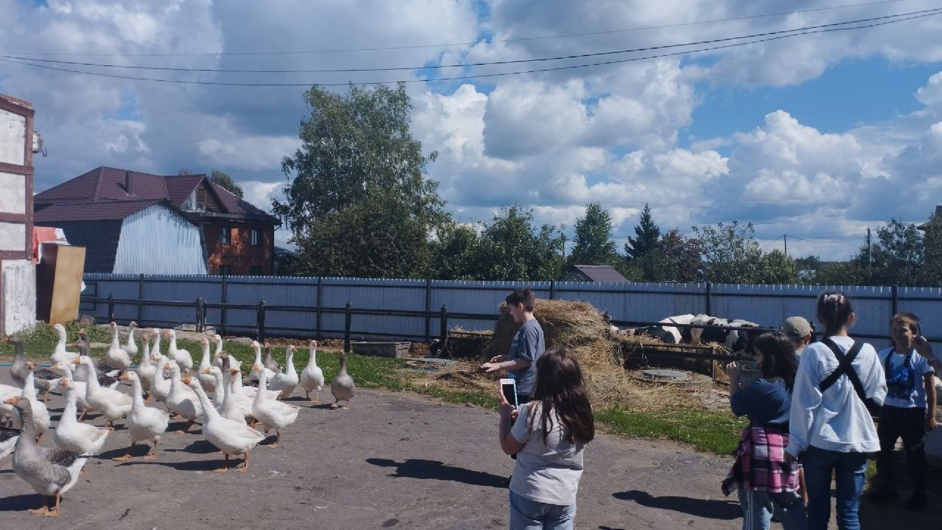 ивантеевка, ферма цветковых, экскурсия, дети с особенностями развития, центр социального обслуживания, животные на ферме,социализация детей,коровы,