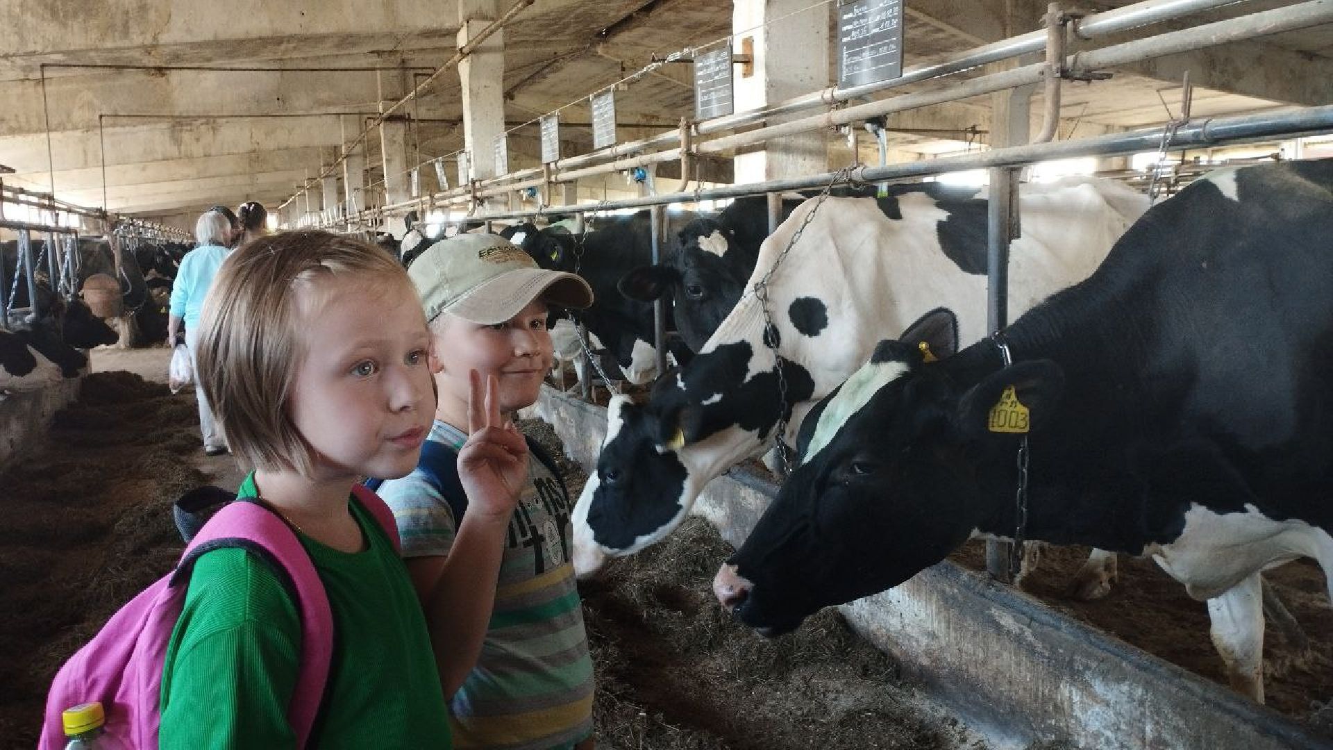ивантеевка, ферма цветковых, экскурсия, дети с особенностями развития, центр социального обслуживания, животные на ферме,социализация детей,коровы,