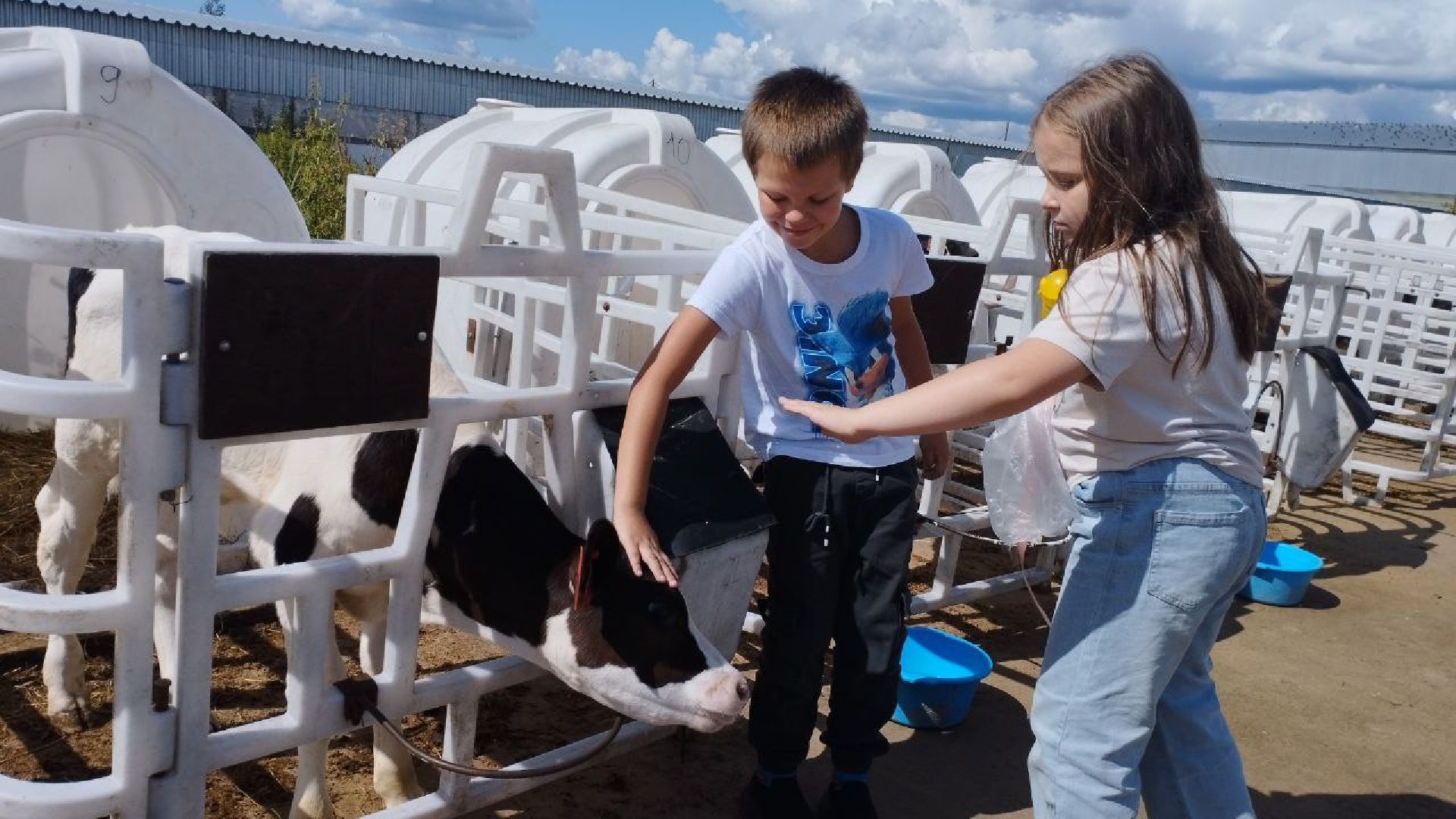 ивантеевка, ферма цветковых, экскурсия, дети с особенностями развития, центр социального обслуживания, животные на ферме,социализация детей,коровы,