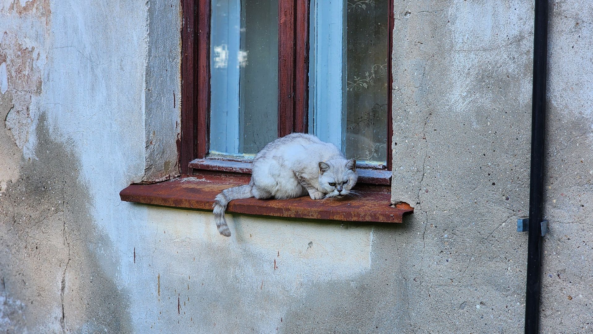 волоколамск, расселение аварийного жилья, новое жилье,