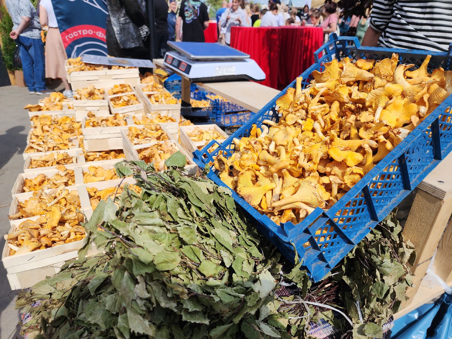 фестиваль, орехово-зуево, 100 процентов креатив,