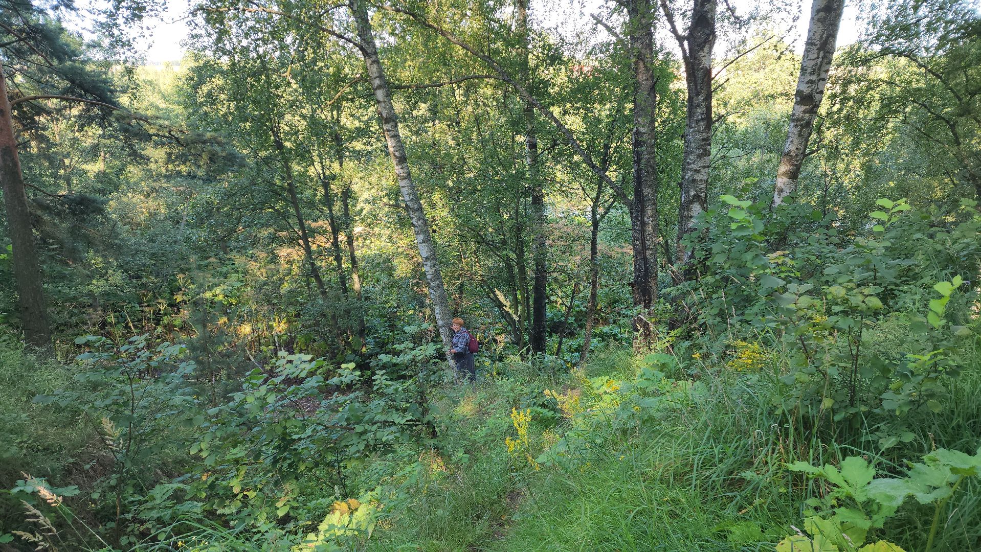 красноармейск, городской округ пушкинский, выездная администрация, родник,