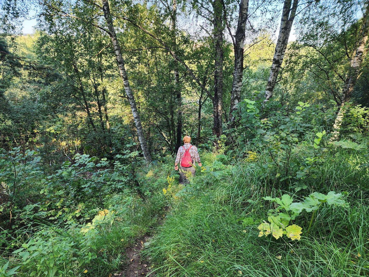 красноармейск, городской округ пушкинский, выездная администрация, родник,