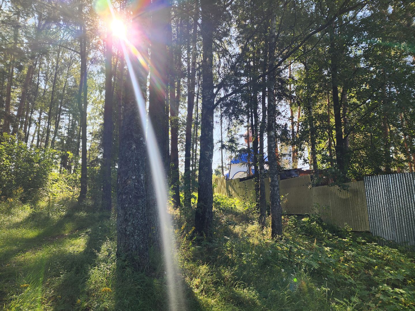 красноармейск, городской округ пушкинский, выездная администрация, родник,