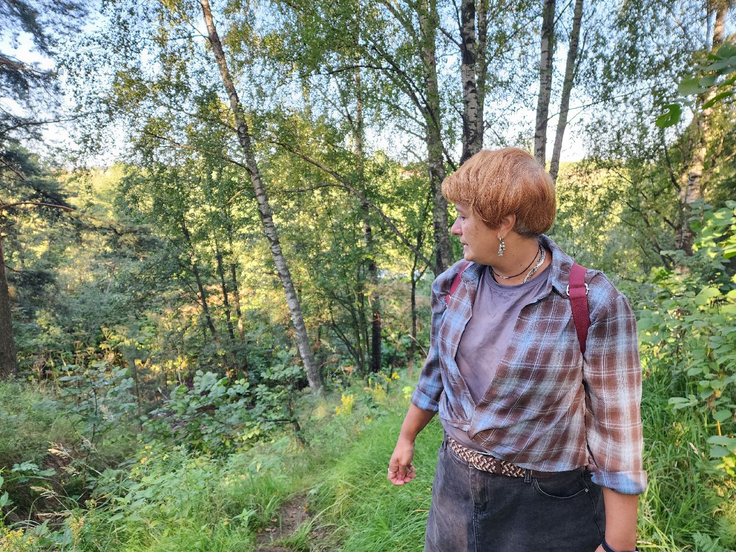 красноармейск, городской округ пушкинский, выездная администрация, родник,