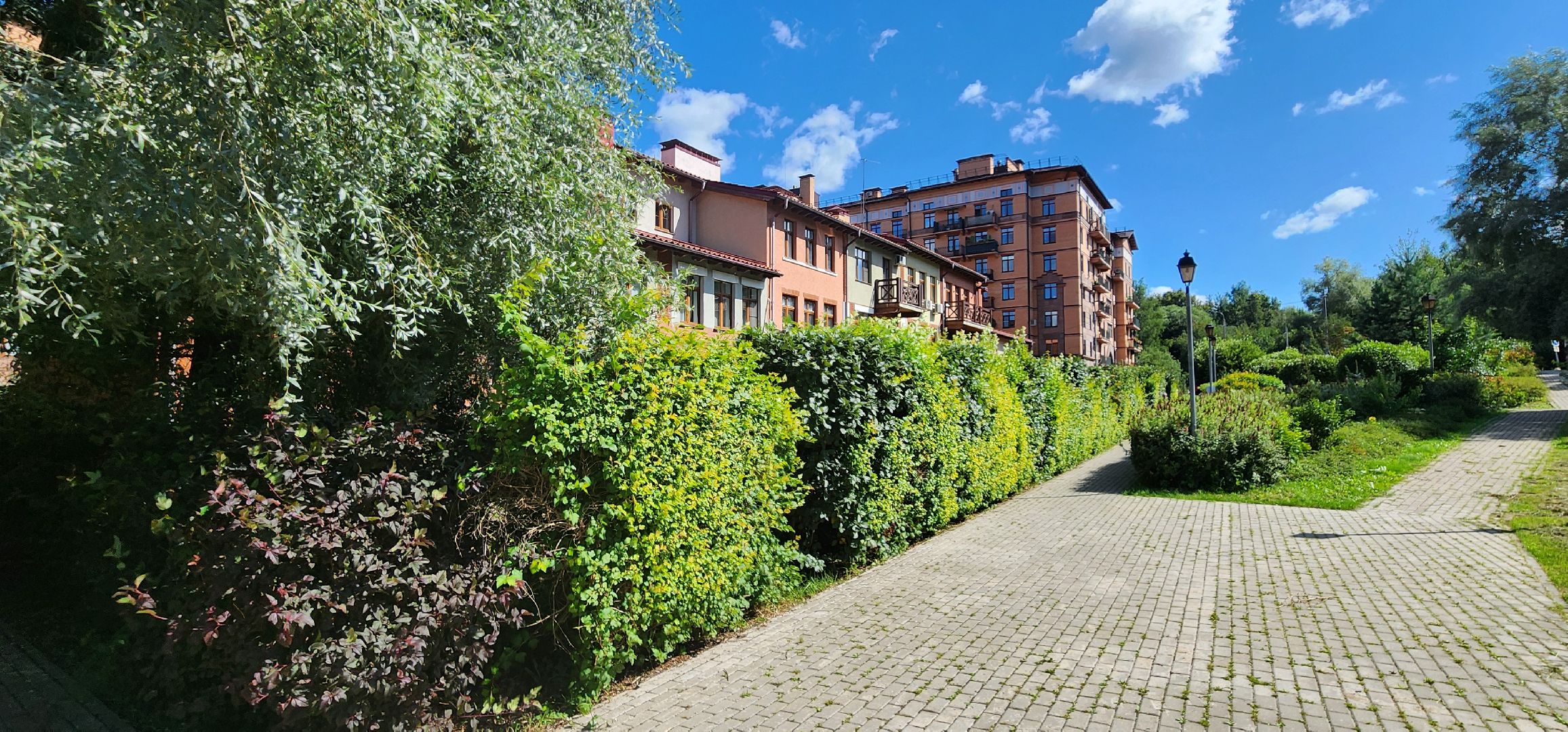 Химки, цветоводство, Природа, Фауна,