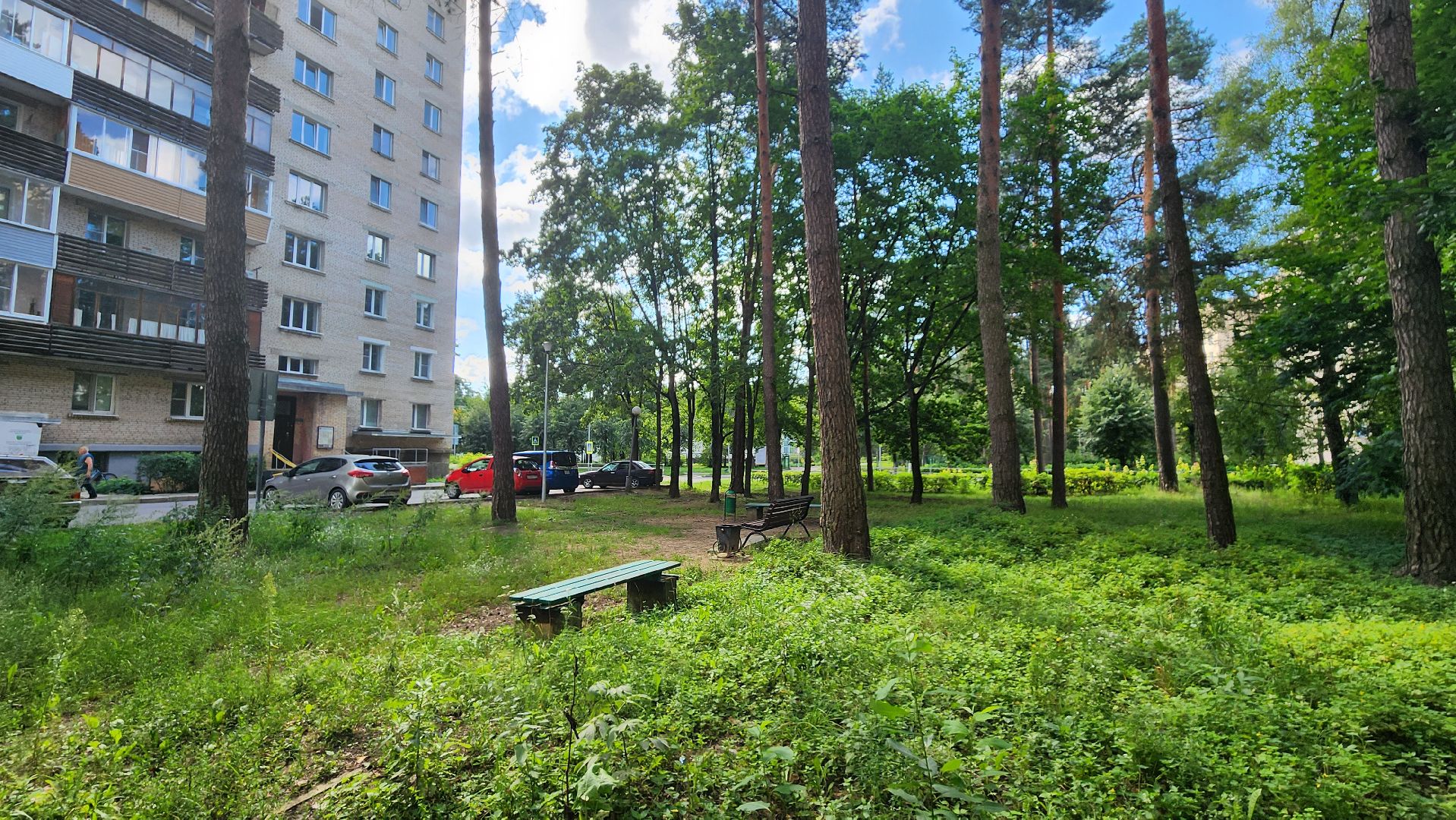 протвино, старшая по дому, благоустройство,