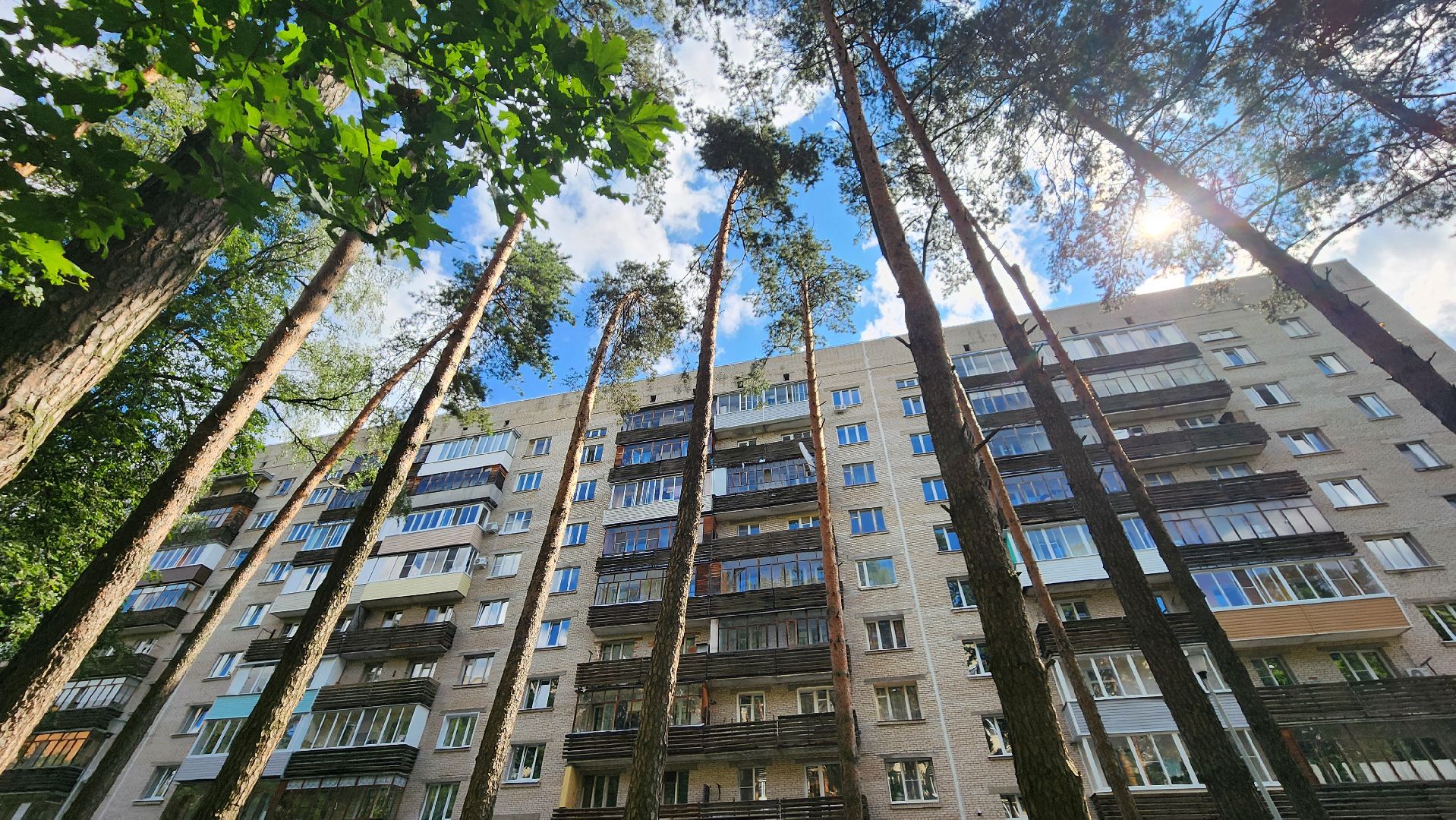 протвино, старшая по дому, благоустройство,