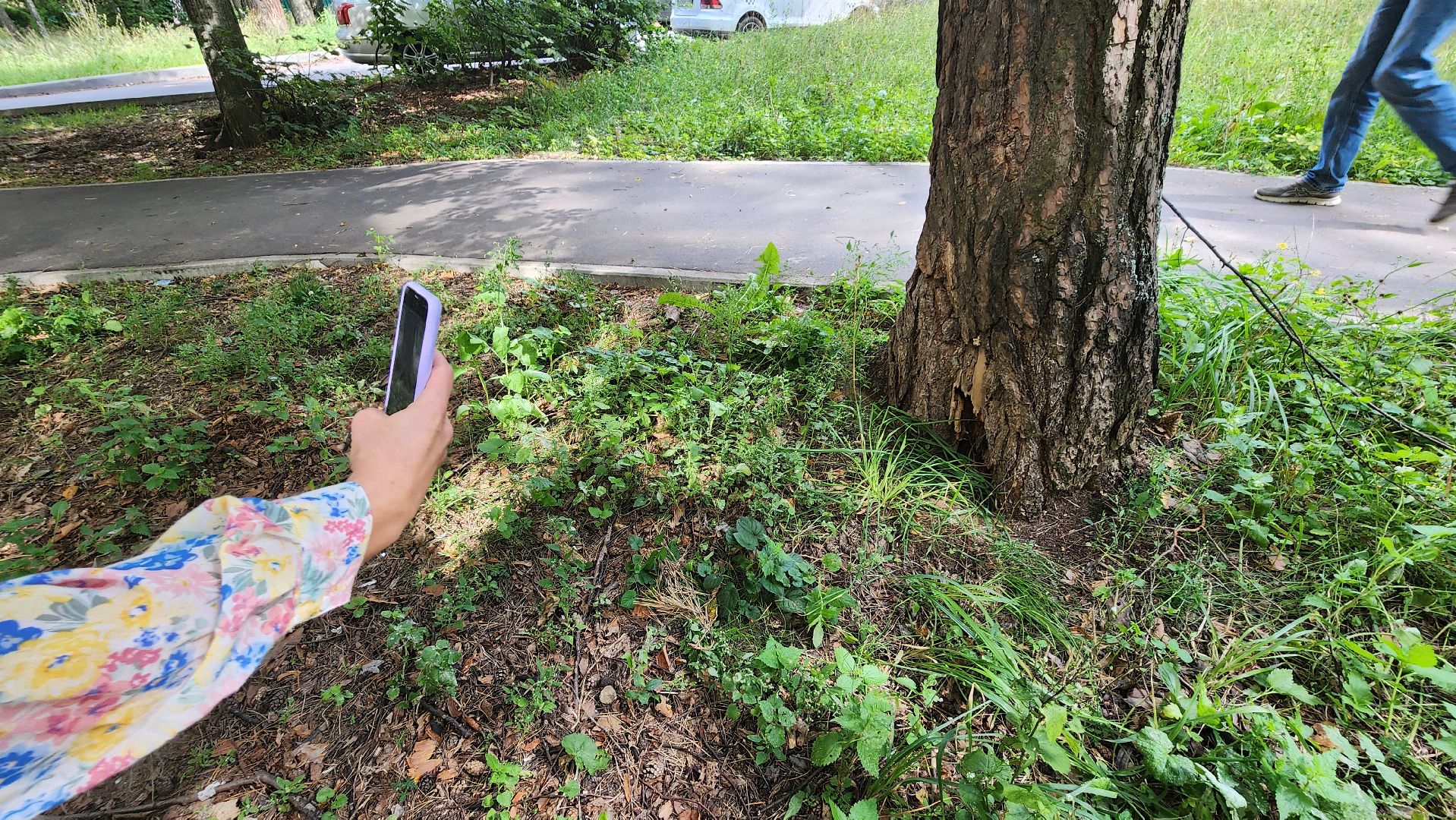 протвино, старшая по дому, благоустройство,